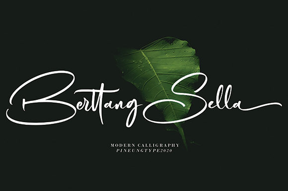 Berttang Sella: A Font That Elevates Brand Identity
