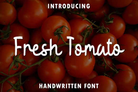 Fresh Tomato Font for Handmade Brands