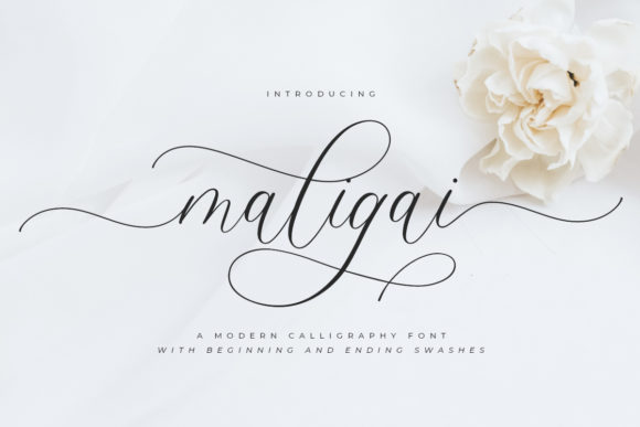 Maligai Font: Elevating Campaign Visuals