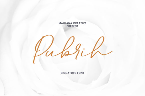 Pubrih: A Designer’s Honest Review for Branding